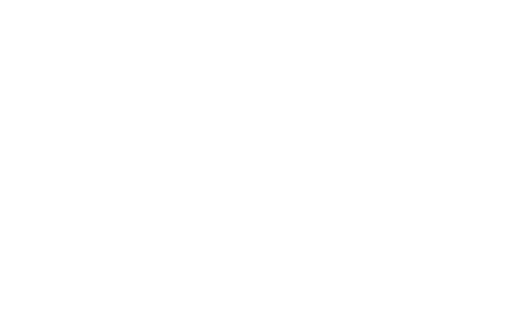 sntec Logo